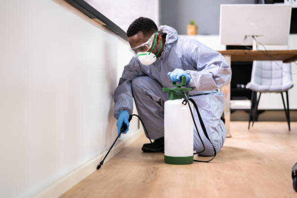 Best Emergency Pest Control  in Henderson, LA